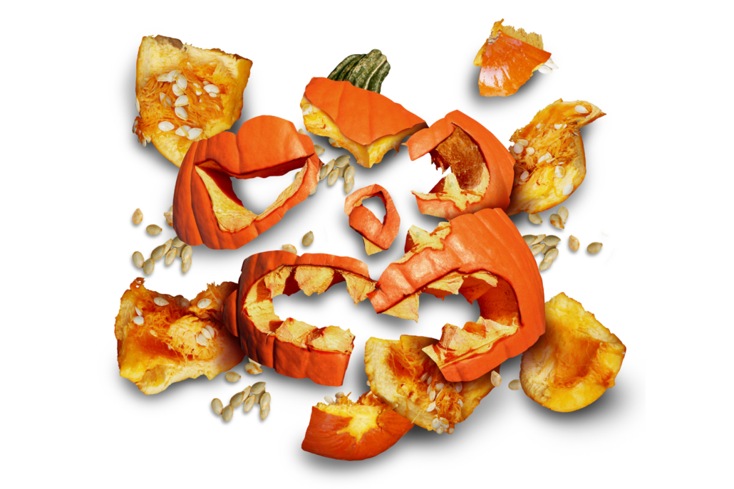 Pieces of smashed up pumpkin.